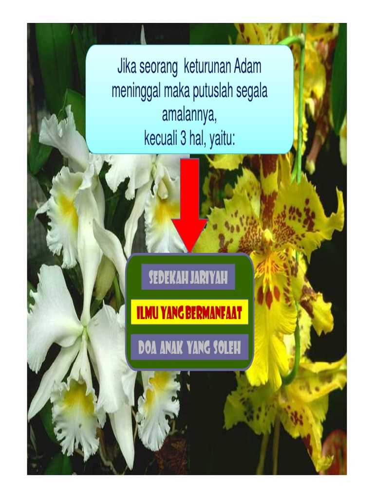 Kredit Pajak Luar Negeri