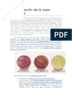 A4.11 - Revitalización de La Cepa Problema para Conservación e Identificación GRAM