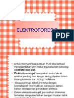 Elektroforesis