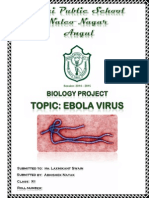 Biology Ebola Virus Project Report