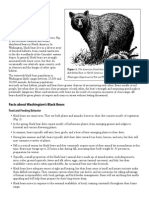 Facts About Washington's Black Bears