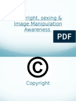 copyright, sexting & ima