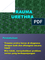 Trauma Uretra