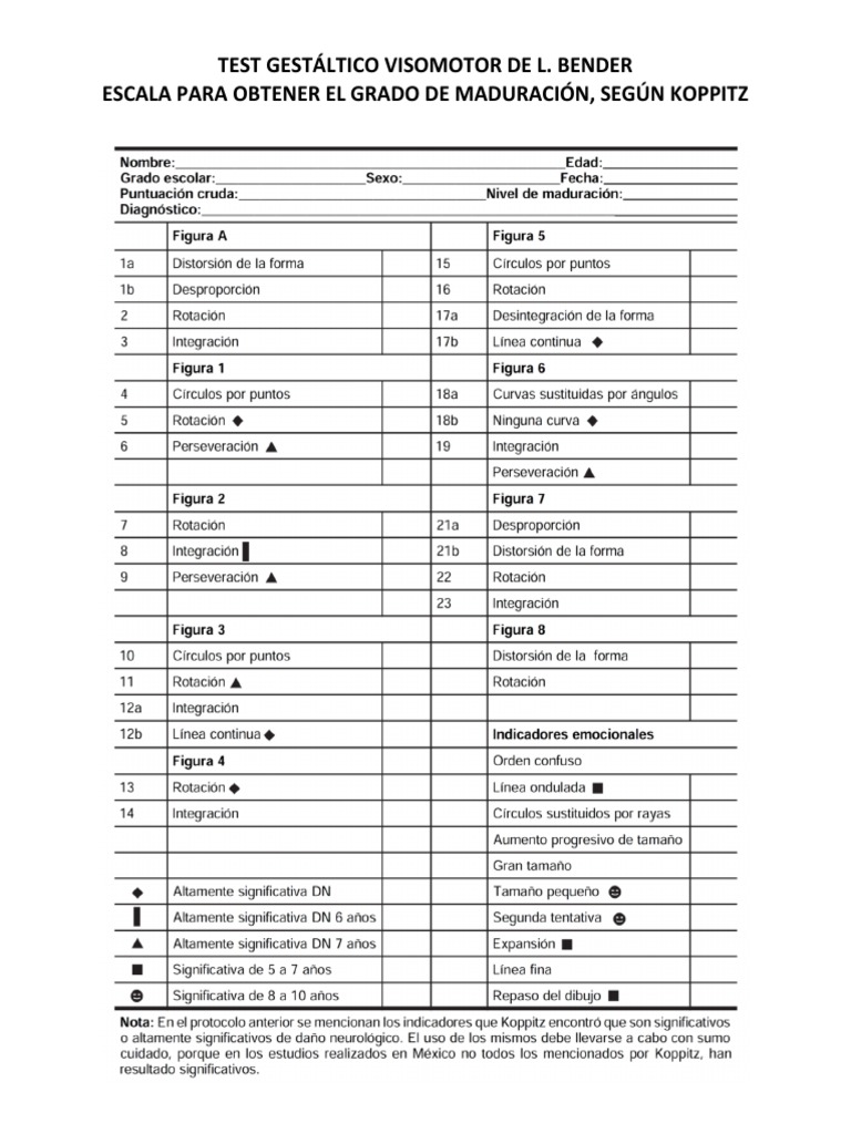 Formatos Bender Observacion y Puntuacion | PDF