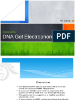 Introducing Dna Gel Electrophoresis
