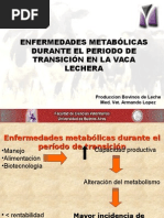 enfermedades metabolicas