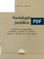 David, Pedro R. - Sociolog%EDa Jur%EDdica