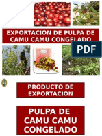Copia de FINANCIAMIENTO DE NEGOCIOS DE EXPORTACION - PULPA DE CAMU CAMU