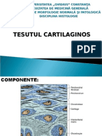 LP8.Tesut Cartilaginos