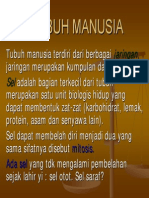 FISIOLOGI MANUSIA