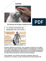 El Ronroneo de Los Gatos, Beneficioso para Nuestra Salud