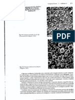 Pag 471, 477.pdf