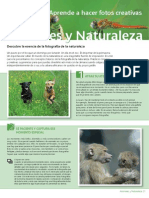 Curso de Fotografía Canon - Animales y Naturaleza