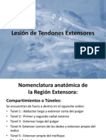 Lesión Tendones Extensores