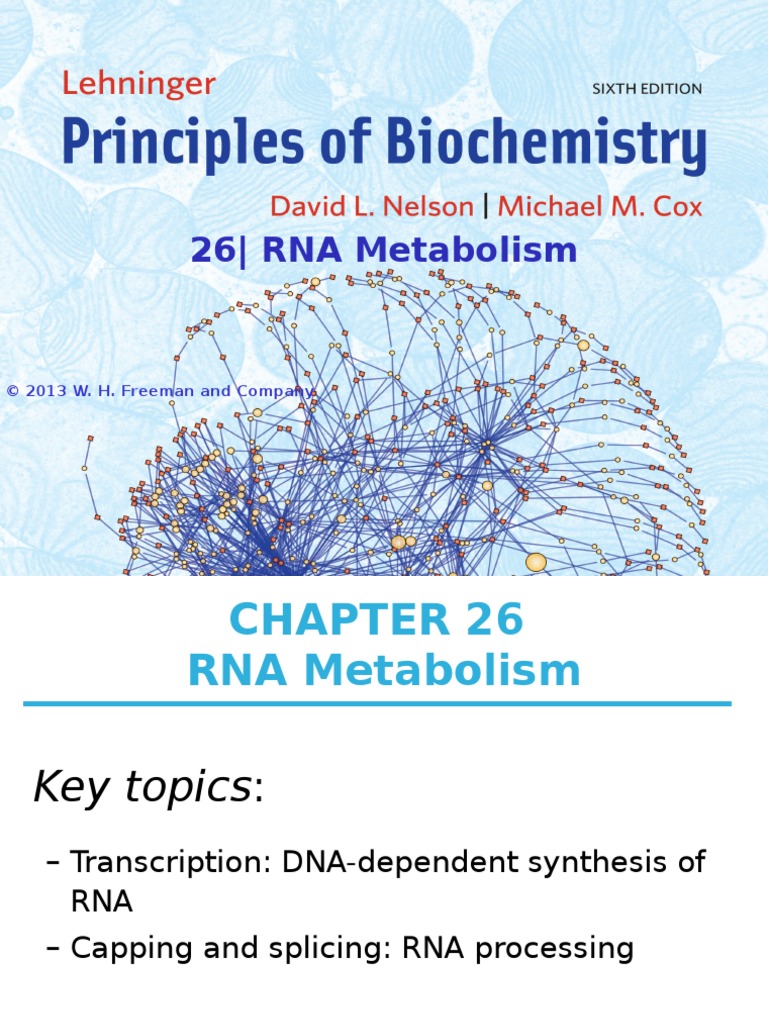 Ch26 Rna Metabolism Pdf Rna Rna Splicing