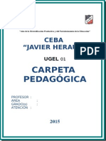 Carpeta Pedagogica JH 2015