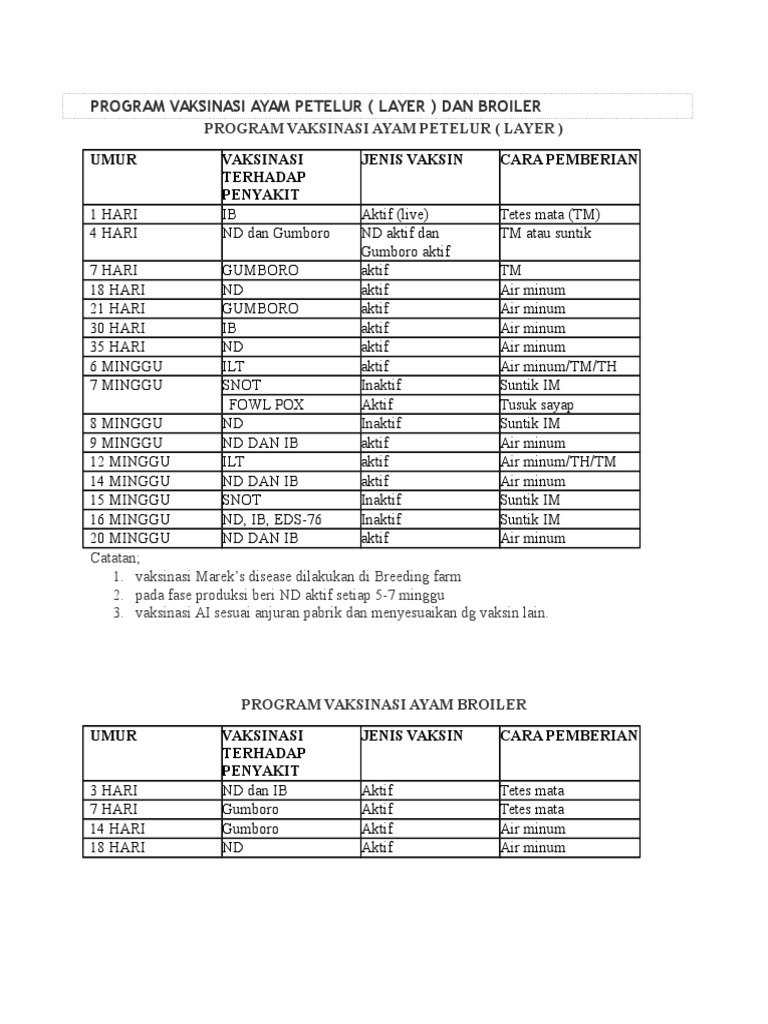 Program Vaksinasi Ayam Petelur