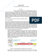 Muchtazam Mulsiansyah - 1206221683 - Sintesis Protein