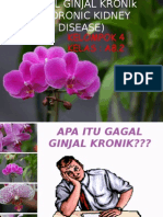 Gagal Ginjal Kronik1