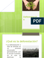 Deforestacion Presentacion