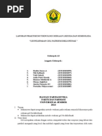 Download Laporan Uji Pelepasan Gel by NoviAlda NitiyaCassari SN259255376 doc pdf