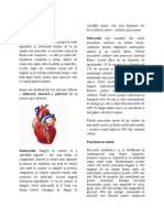 Organele Interne 22