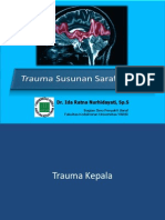 Neurotrauma PDF