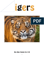 Tiger Nonfiction