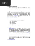 Download SEJARAH SINGKAT KUNYIT by utungiting SN259277062 doc pdf