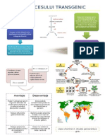 organisme transgenice 2