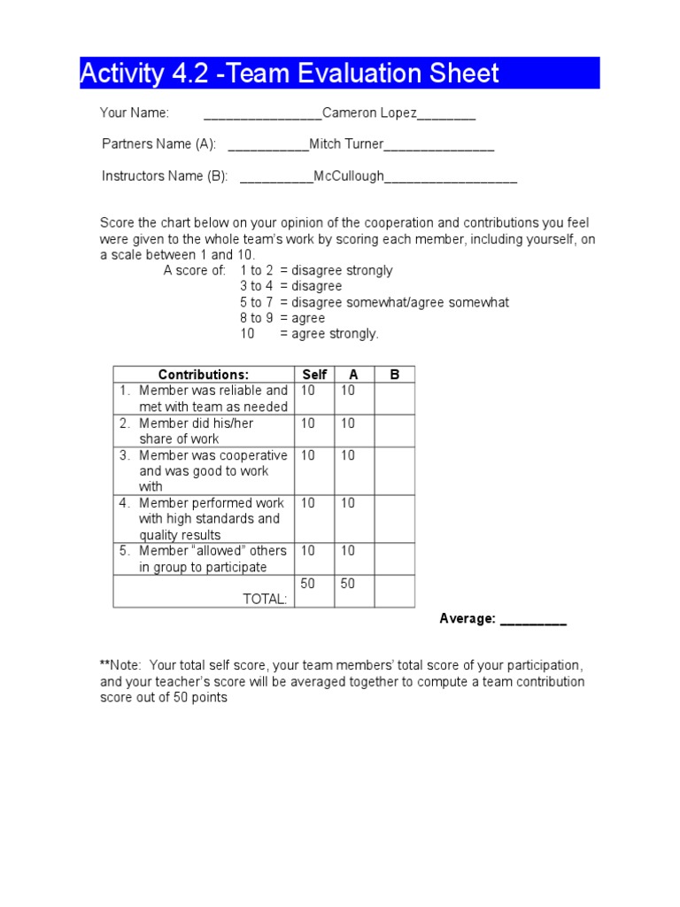 Team Evaluation Sheet Template | PDF | Psychology | Psychological Concepts