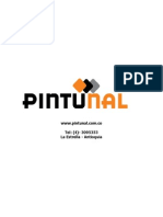 Portafolio Pintunal 2010 PDF