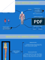 Inervacion e Irrigacion