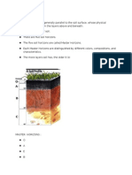 Soil Horizons