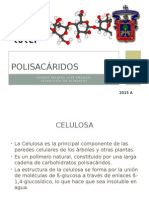 Polisacaridos