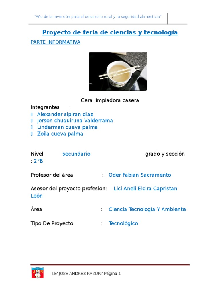 Proyecto de Feria de Ciencias y Tecnología | PDF | Science | Ciencia ...