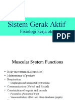 1. Sistem Gerak Aktif (Otot)