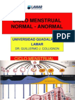 Ciclo Menstrual Anormal