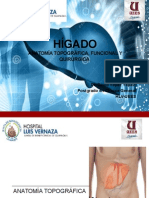 Anatomia Quirurgica Del Higado Postgrado Cirugia General HLV DR David Yèpez