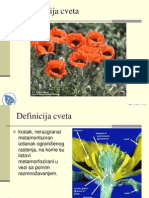 Morfologija Cvetka PDF
