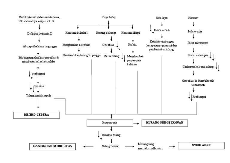 Woc Osteoporosis
