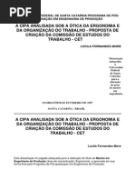 A CIPA Analisada Sob a Ótica Da Ergonomia
