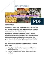 Agriculture Sector in Pakistan