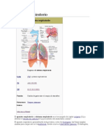 Aparato Respiratorio