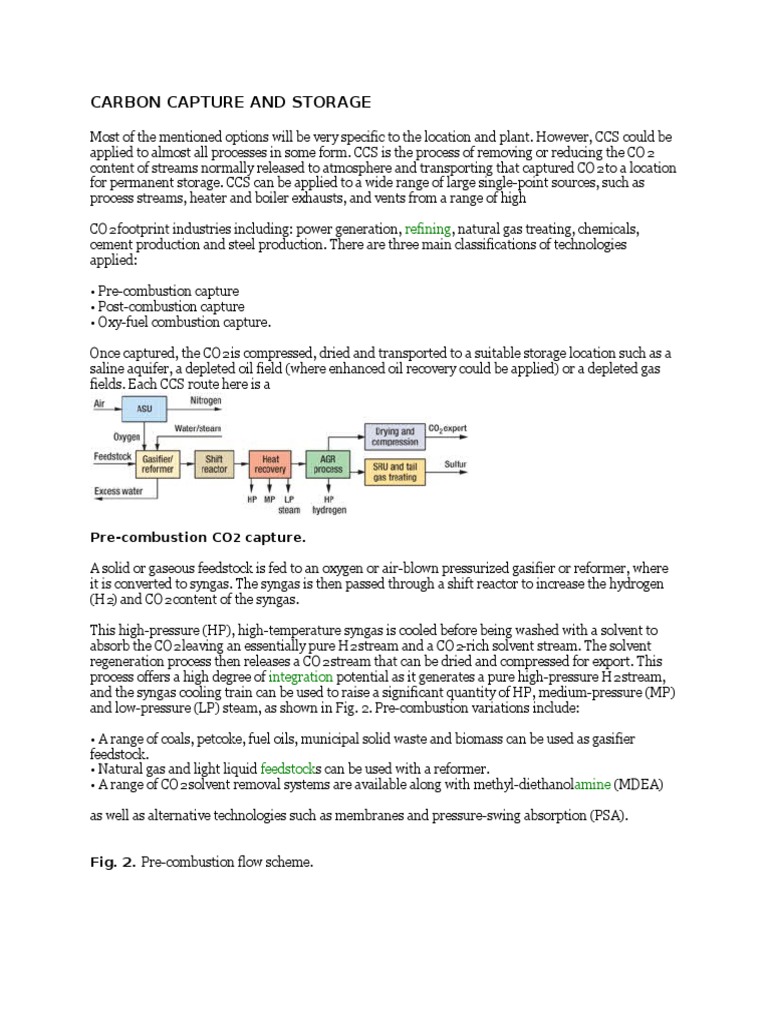 Carbon Capture and Storage Technologies | PDF | Carbon Capture And ...