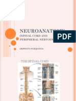 Neuroanatomy Pns 2013