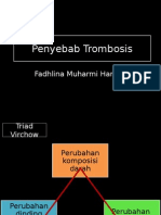 Penyebab Trombus