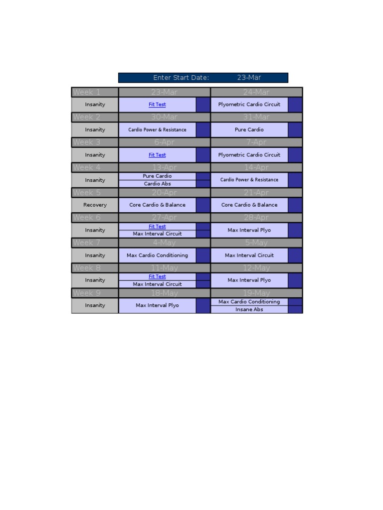 Insanity Calendar | PDF | Wellness