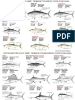 Tuna Identification Sheet 20130218 Rev 3