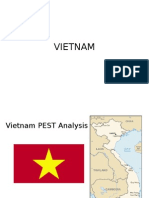 Vietnam Politics Economics and Social Analysis